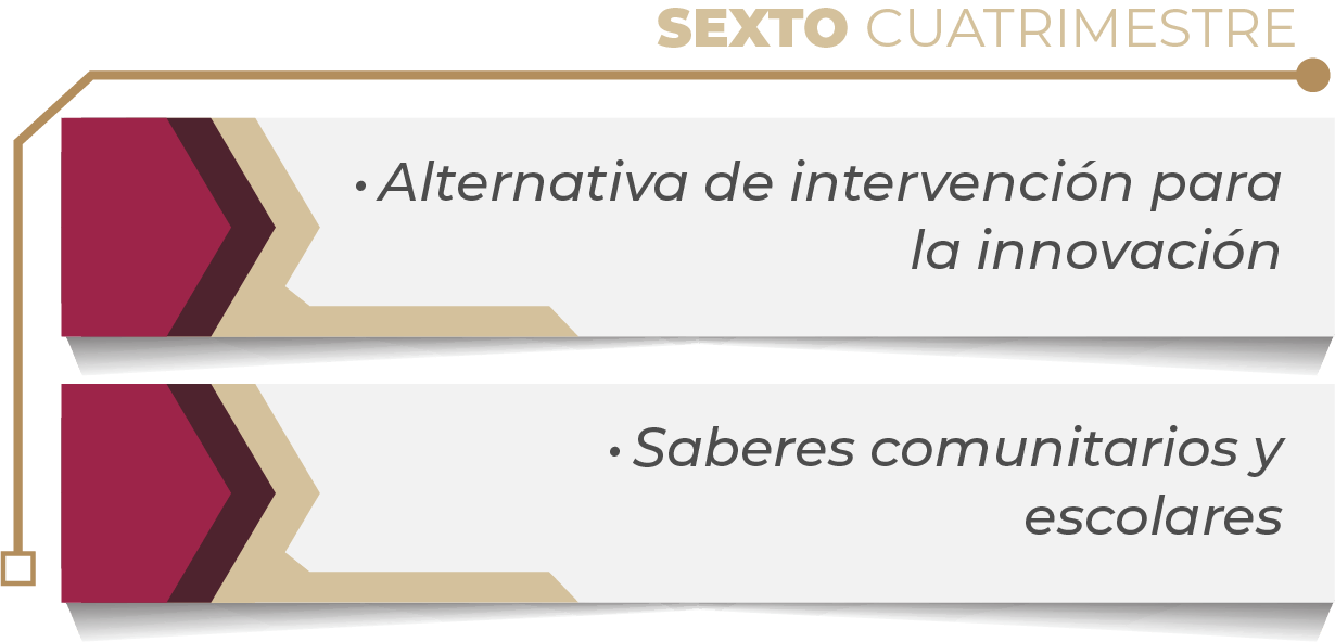 MAPA CURRICULAR GESTIÓN